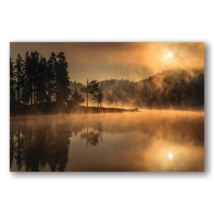 Sunny morning Photo Print