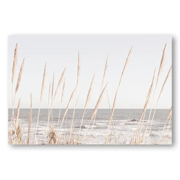 Seaside Serenity Dried Reeds Framing Ocean Horizon Photo Print