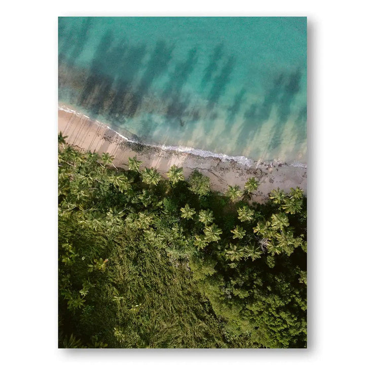 Palm Beach from Above Photo Print