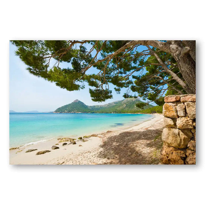 Serene Shoreline Beach Print