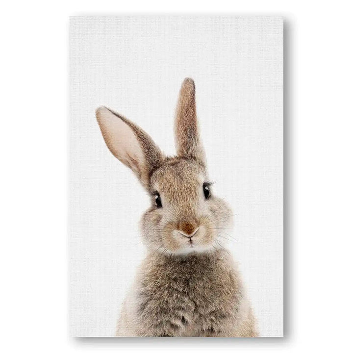 Whimsical Whiskers Bunny Print