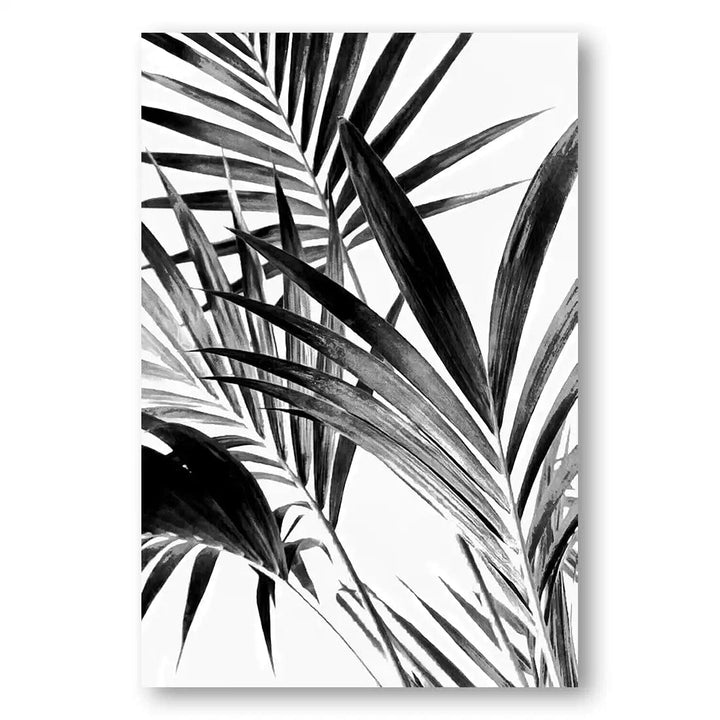 Palm Leaves in Monochrome Photography Print 2