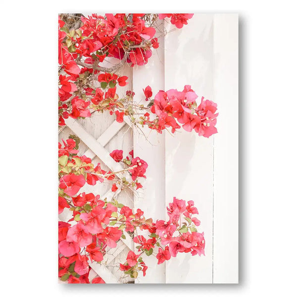 White & Pink by Henrike Schenk Print