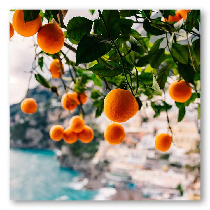 Amalfi Coast Oranges Photo Print 2