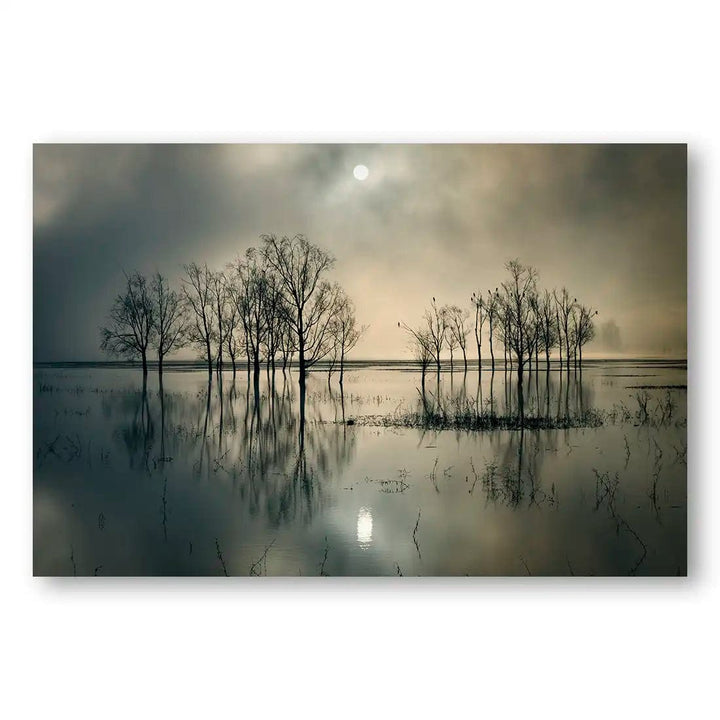 Mystic Morning Reflections Print