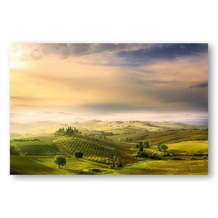 Tuscan Golden Hour Landscape Print