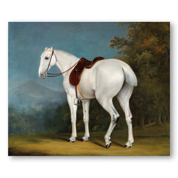 A Lady's Grey Hunter Vintage Horse Art Print