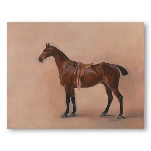 A Saddled Bay Hunter Vintage Horse Art Print