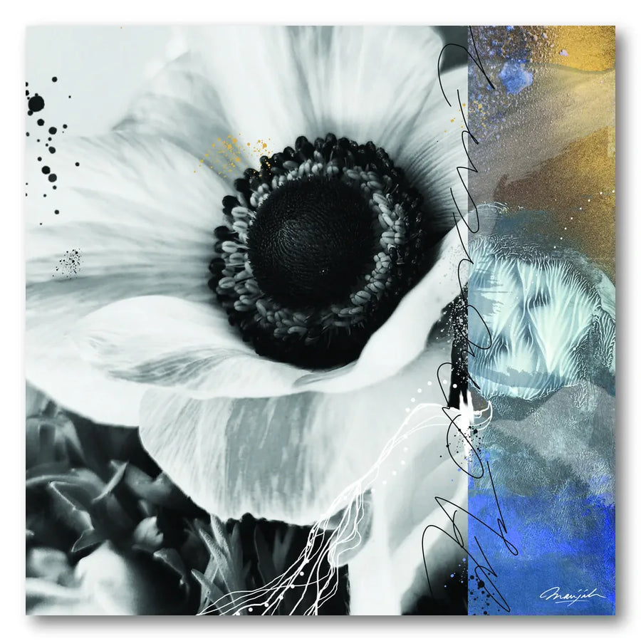 Abstract Anemone Bloom Art Print