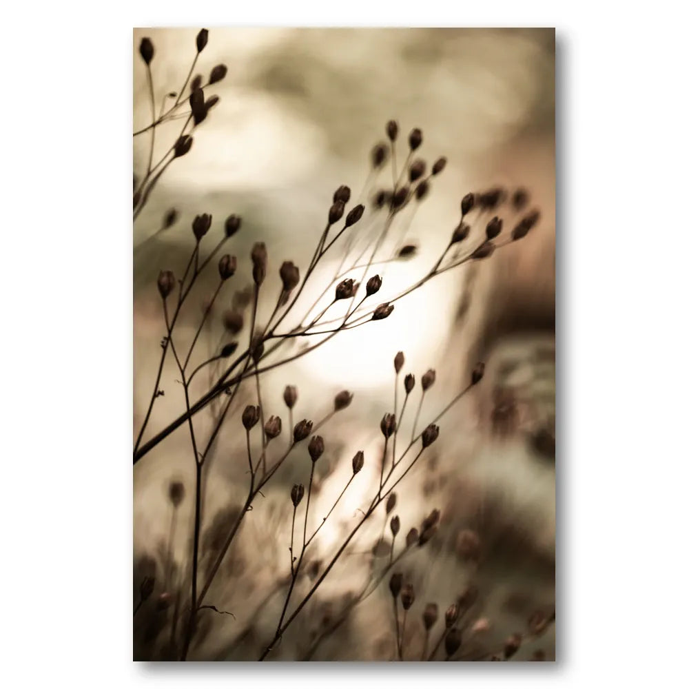 Autumn Lights Photo Print