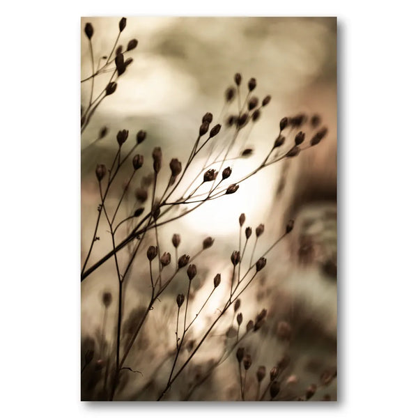 Autumn Lights Photo Print