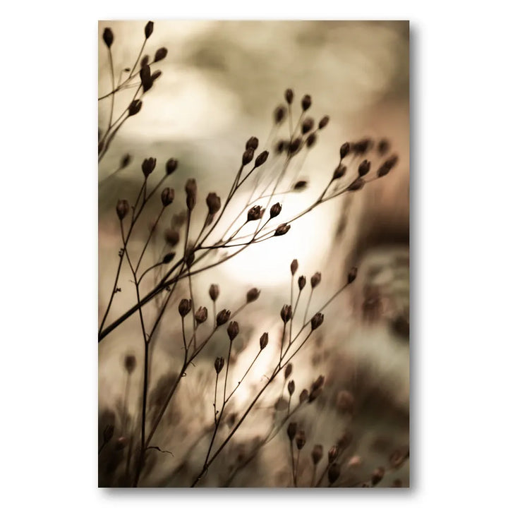 Autumn Lights Photo Print