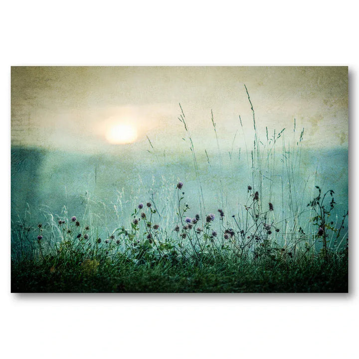 Misty Morning Meadow Art Print