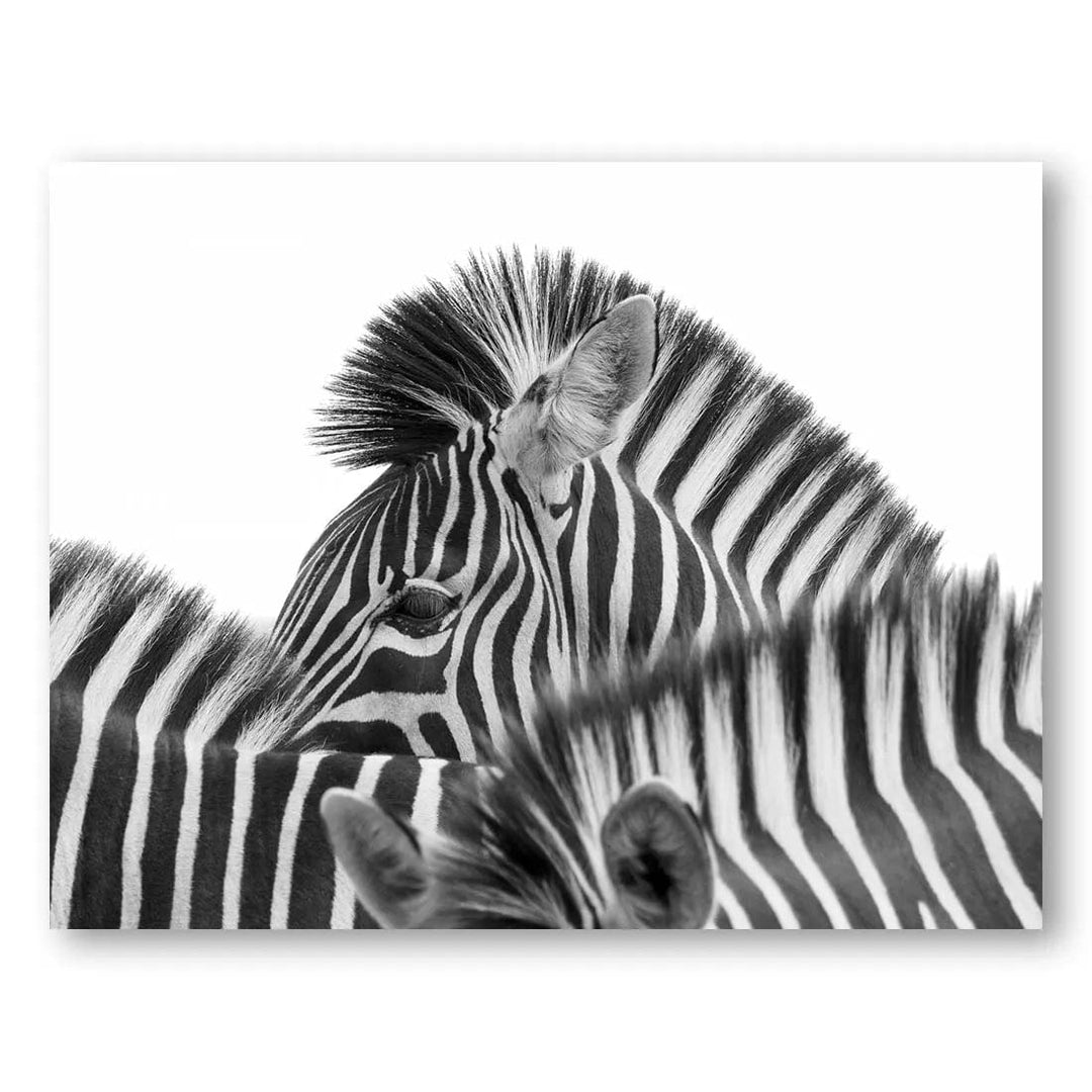 Monochrome Harmony Photo Print