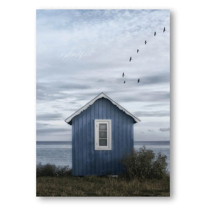 Seaside Haven Flight Photo Print