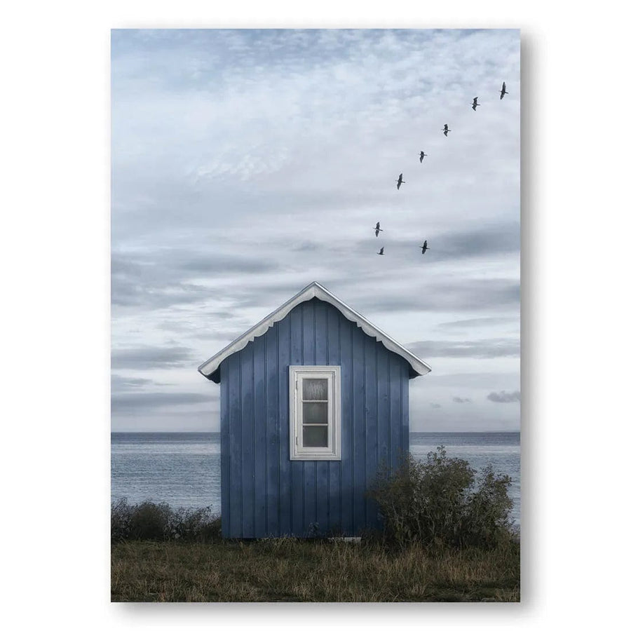 Seaside Haven Flight Photo Print