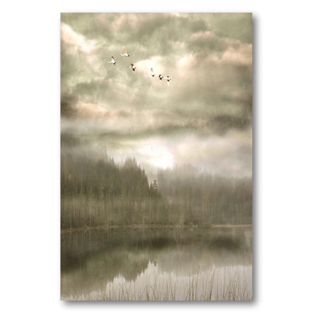 Birds Over Misty Lake Photo Print