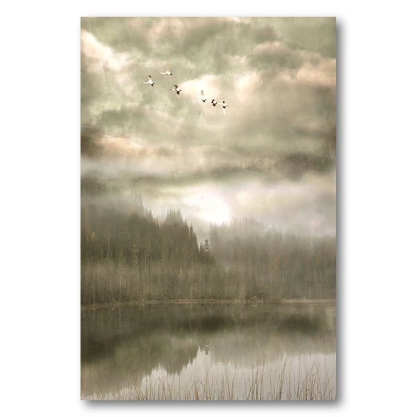 Birds Over Misty Lake Photo Print