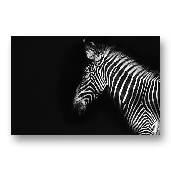 Zebra in Profile Art Print