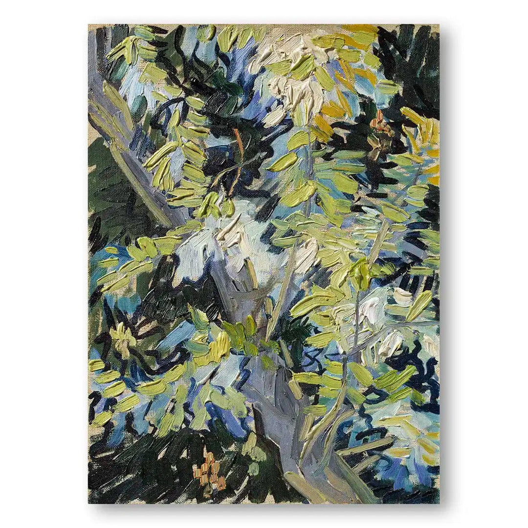 Blooming Acacia Branches Art Print