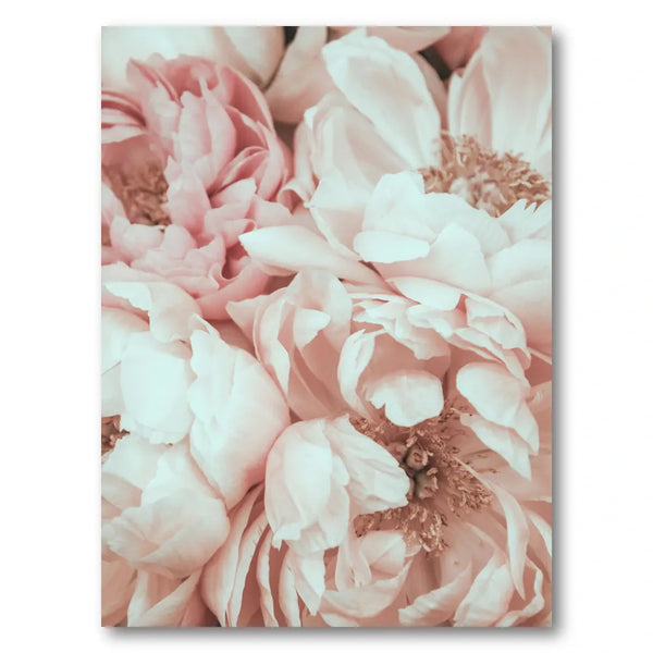 Blush Pink Peonies Photo Print