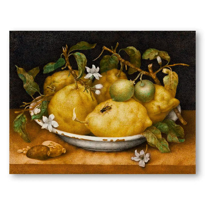 Bowl of Lemons Still Life Art Print