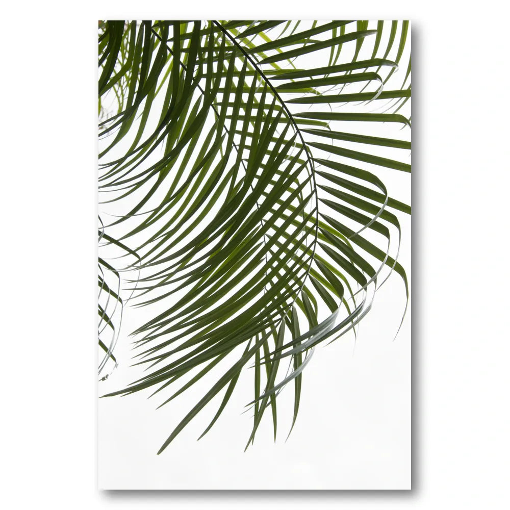 Bright Tropical Palm Photo Print