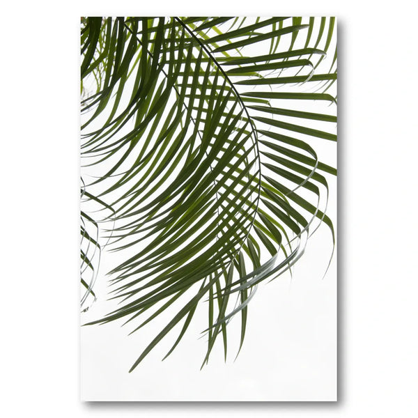 Bright Tropical Palm Photo Print