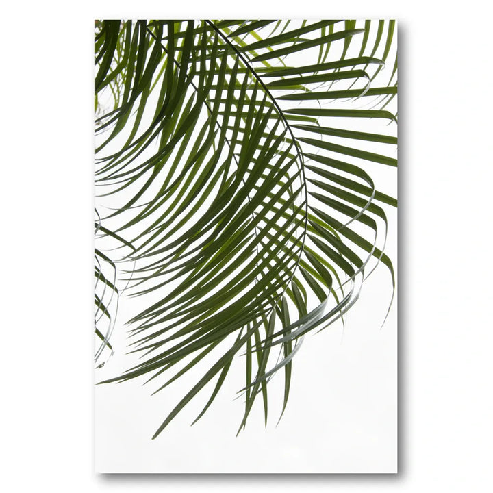 Bright Tropical Palm Photo Print