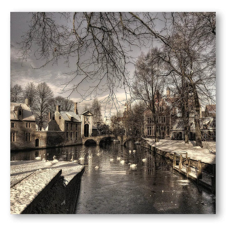 Swans On Frozen Canal Photo Print