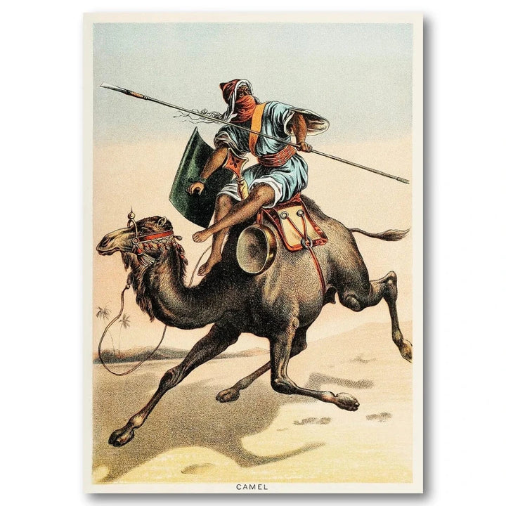 Camel Rider Vintage Illustration Art Print