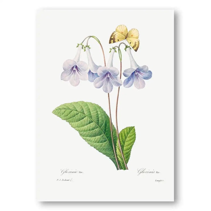 Whispering Canterbury Bells Art Print