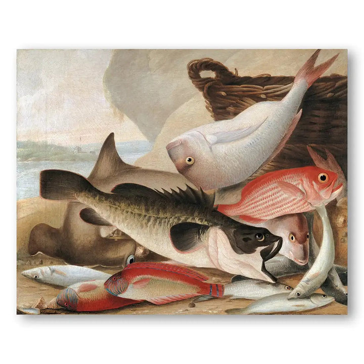 Ocean's Bounty Vintage Fish Art Print