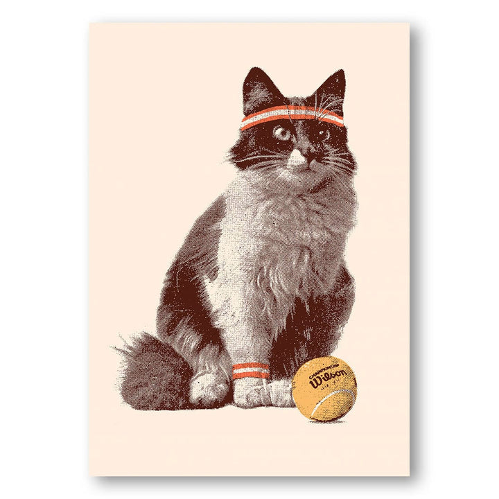 Chat Tennis -  Art Print