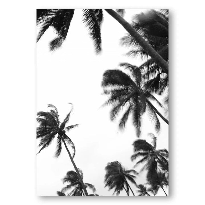 Coco Island Sway Photo Print