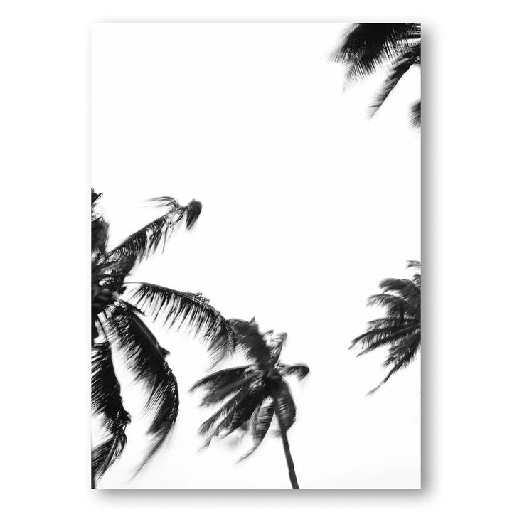 Swaying Coco Palms Photo Print