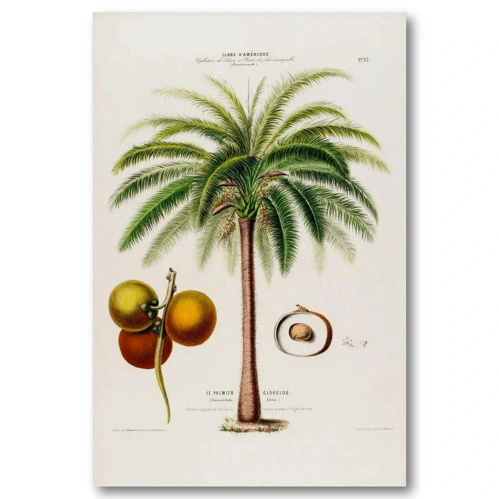 Glouglou palm vintage print, one of the pair