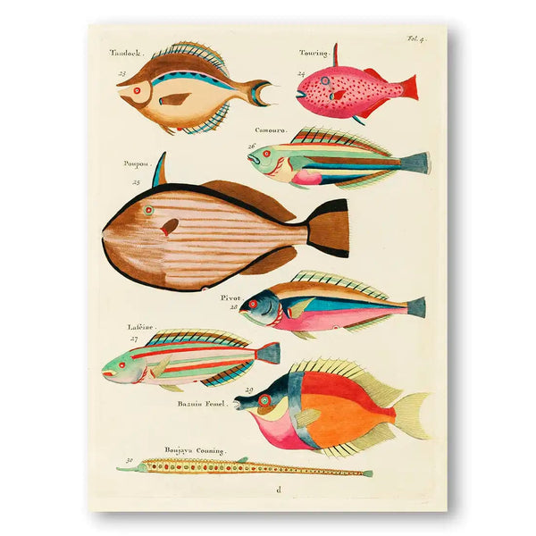 Colourful Vintage Fish by Louis Renard Art Print 1