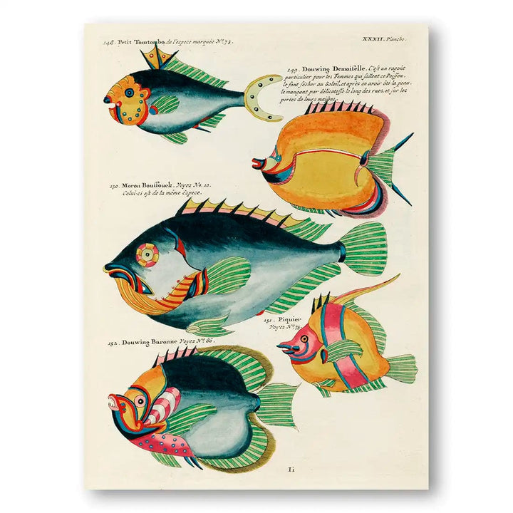 Colourful Vintage Fish by Louis Renard Art Print 2