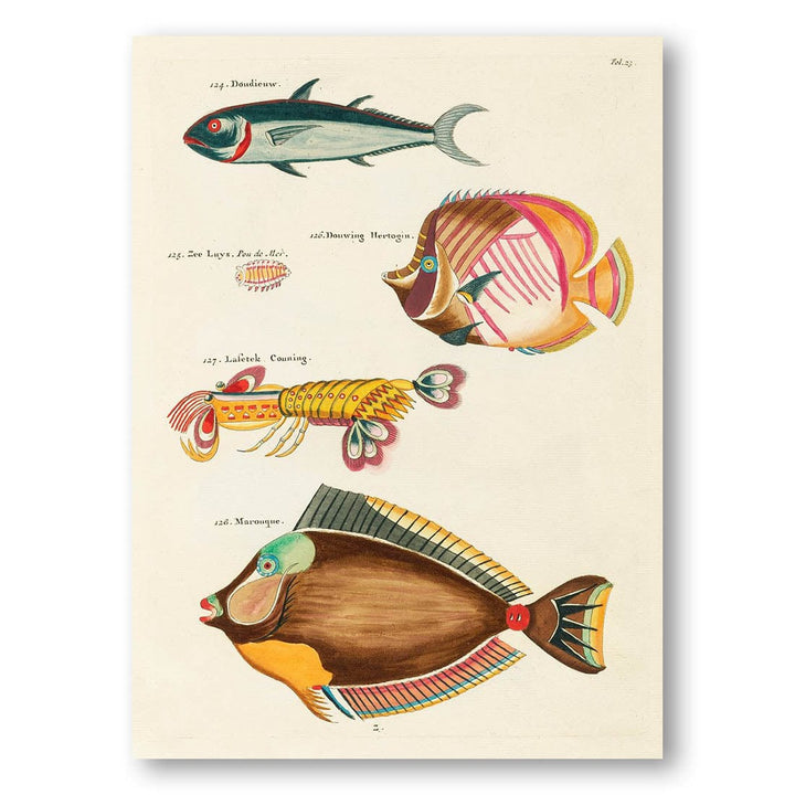 Colourful and Surreal Illustrations of Fishes and Lobster by Louis Renard Art Print