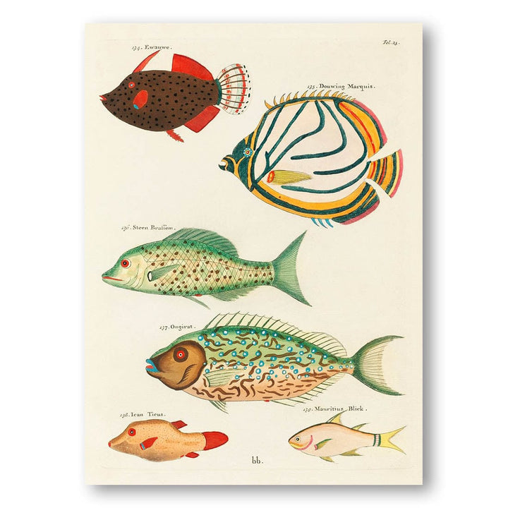 Colourful and Surreal Illustrations of Fishes by Louis Renard Art Print