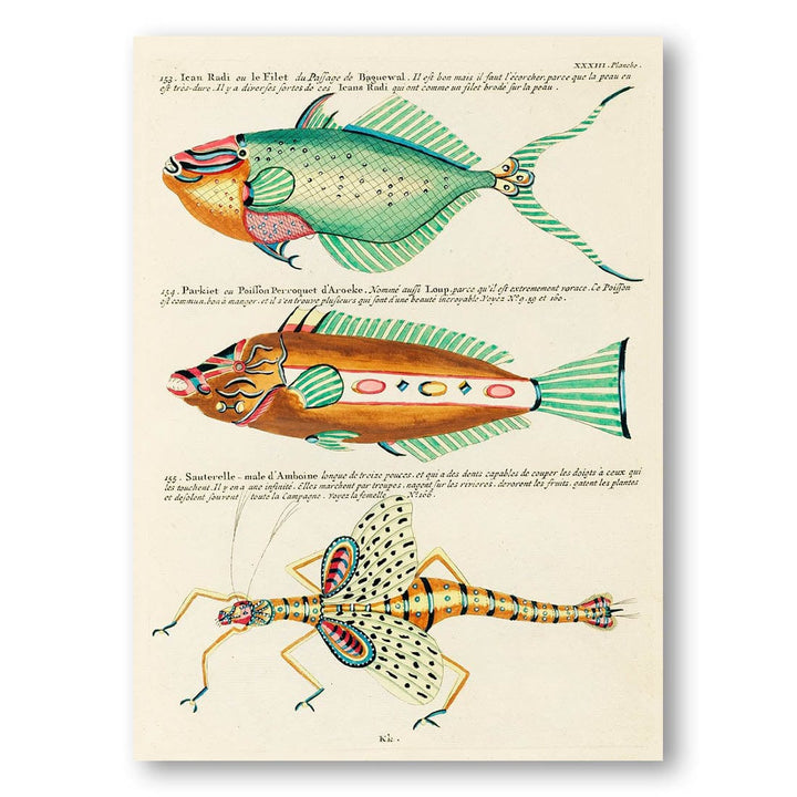 Colourful and Surreal Illustrations of Fishes from Moluccas and the East Indies by Louis Renard Art Print 2