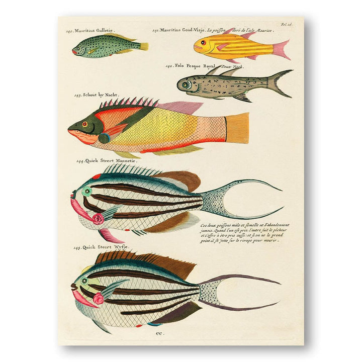 Colourful and Surreal Illustrations of Fishes by Louis Renard Art Print