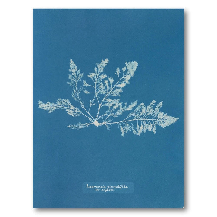 Vintage Blue Coral 5 Art Print
