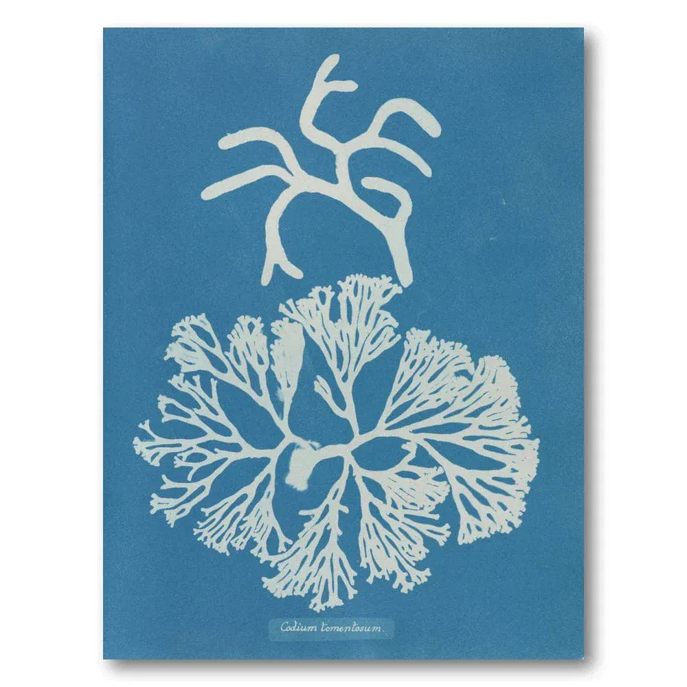 Vintage Blue Coral 3 Art Print