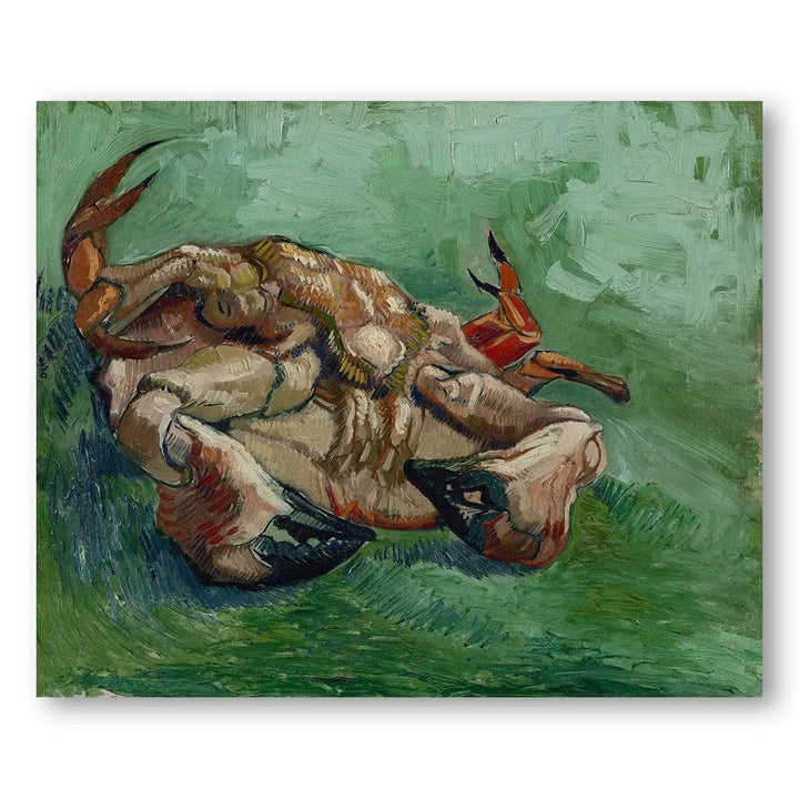 Crab on it's Back Van Gogh Art Print