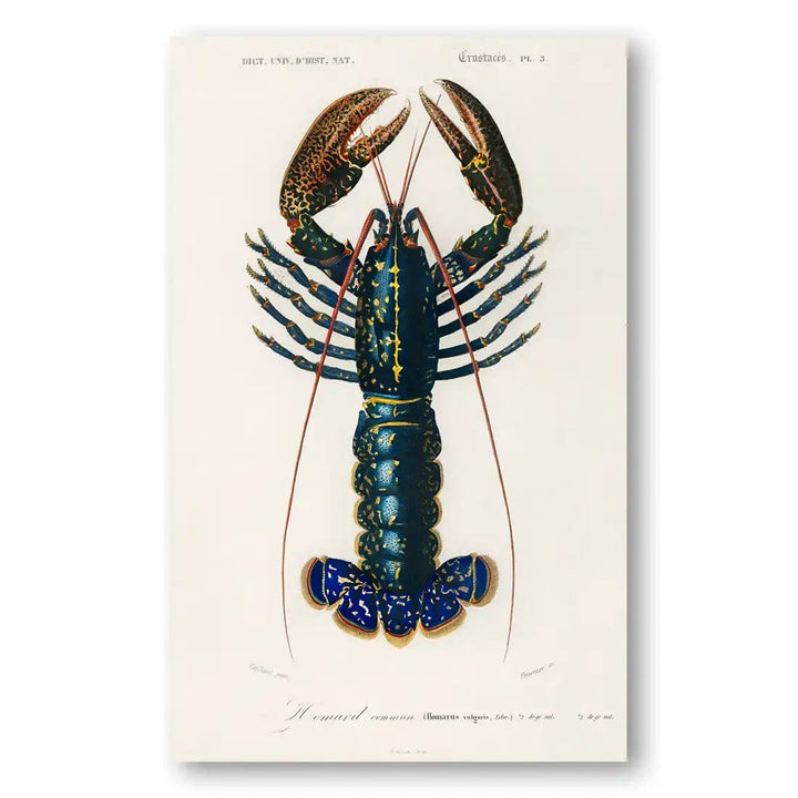 Crimson Crawfish Vintage Art Print