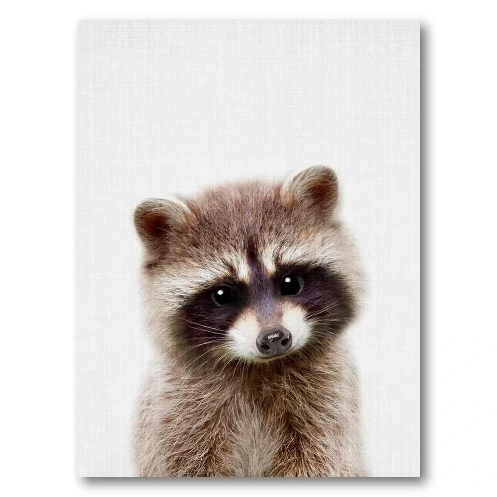 Curious Baby Raccoon Photo Print