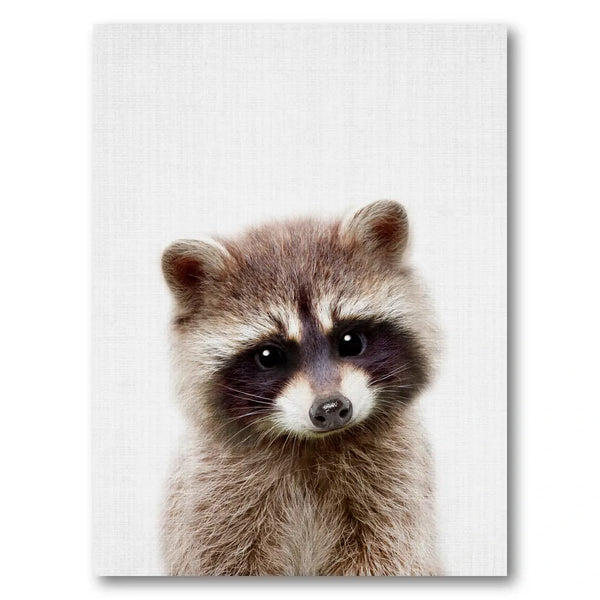 Curious Baby Raccoon Photo Print