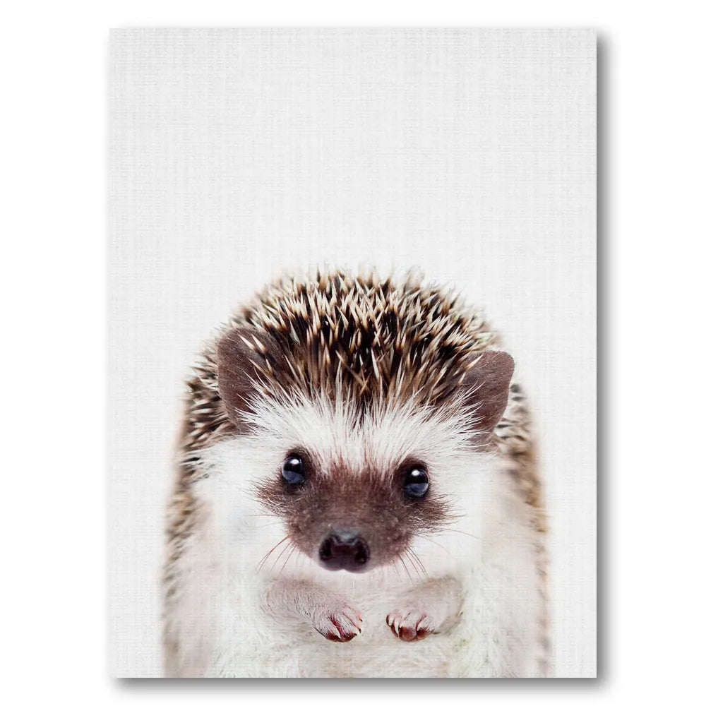 Cute Little Hedgehog Photo Print